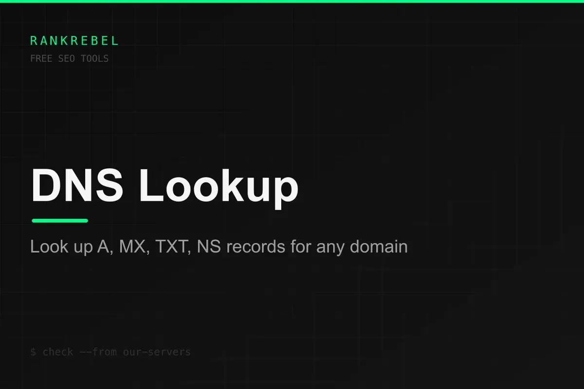 DNS Lookup Tool