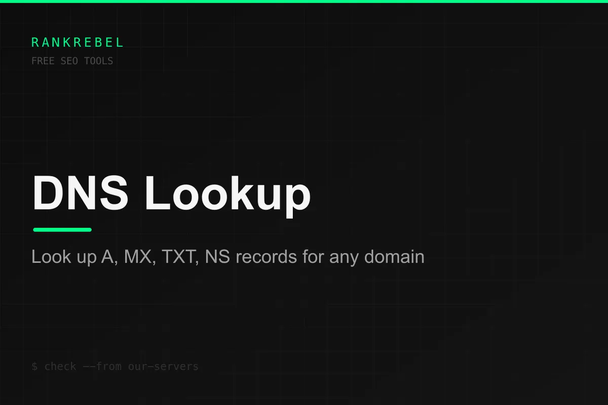 DNS Lookup Tool